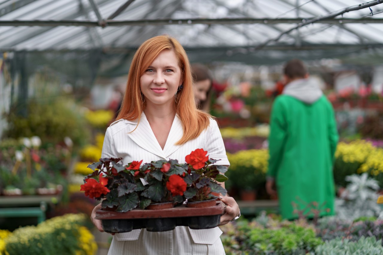 https://www.finass-salerno.it/wp-content/uploads/2020/11/thumbnail_smiling-happy-florist-in-her-nursery-standing-holding-a-potted-red-geraniums-in-her-hands-as-she-tends-to-the-garden-plants-in-the-greenhouse.jpg